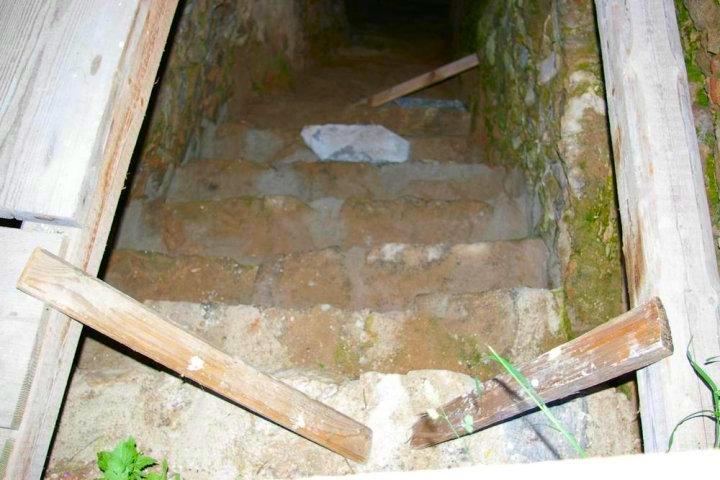 Stufensanierung, wieder ein paar geschafft.   � M. Wurth 2010